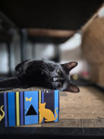 /album/29-10-2025/afbeelding-van-whatsapp-op-2025-10-26-om-12-28-53-d5715533-jpg/